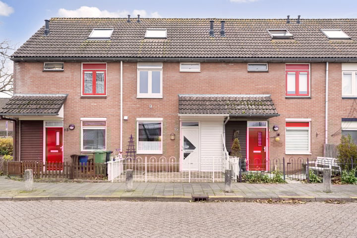 Ringfazant 15 in Nieuwegein foto