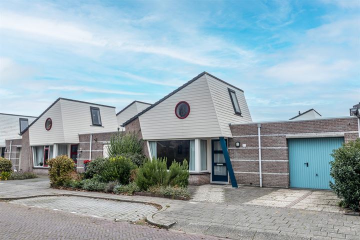 Ringmus 64 in Heemskerk foto