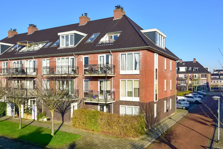 Ringslang 35 in Uithoorn foto