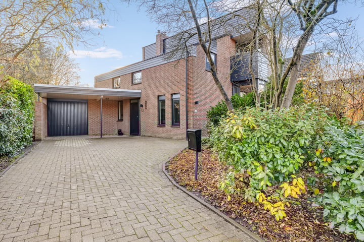 Rister 52 in Oosterhesselen foto