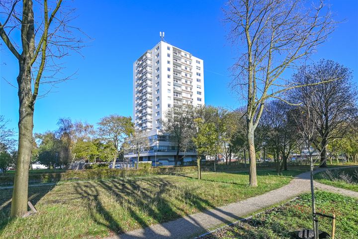 Robert Kochlaan 412 in Haarlem foto