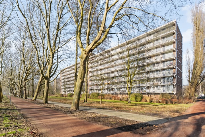 Robert Kochplaats 213 in Rotterdam foto