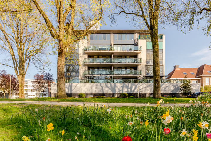 Robiniastate 7 in Purmerend foto