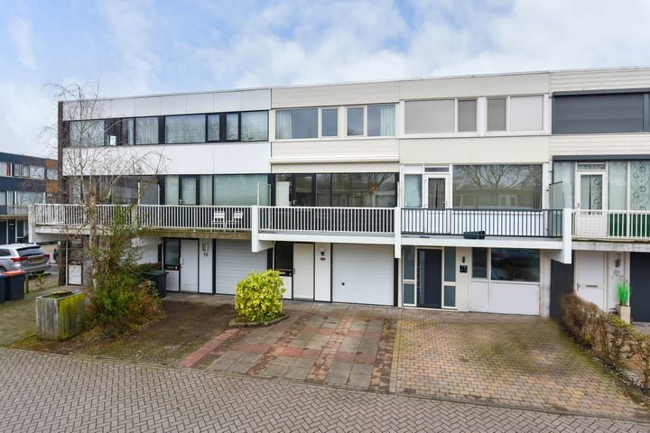 Rode Klaver 77 in Uithoorn foto