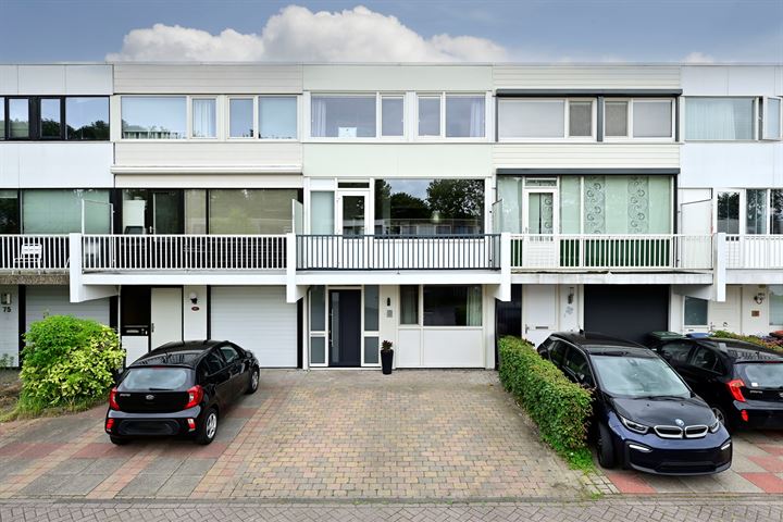 Rode Klaver 79 in Uithoorn foto