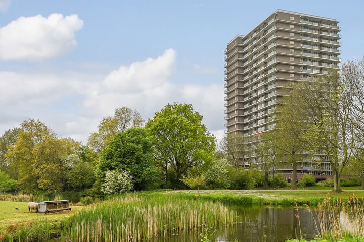 Rodelaan 107 in Voorburg