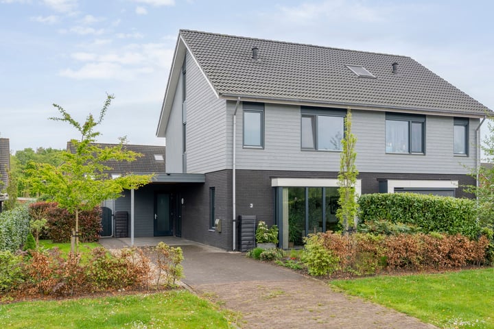 Roedenbergen 3 in Diever foto