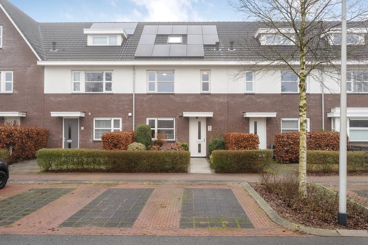 Roef 63 in Meppel foto