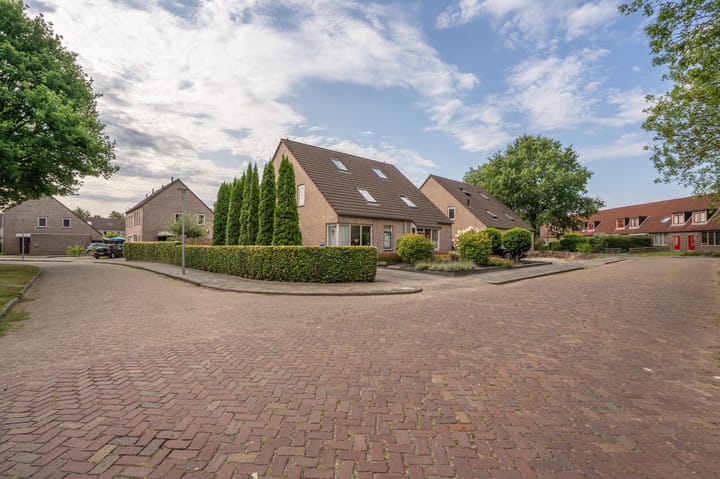 Roegoorn 50 in Assen foto