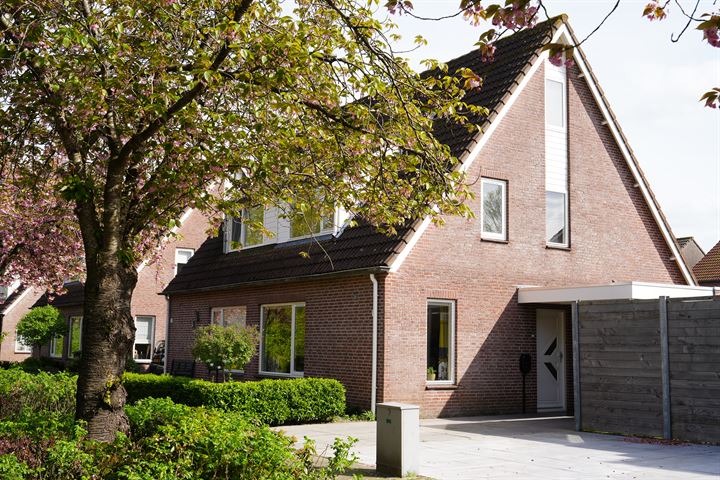 Roek 15 in Sprang-Capelle foto