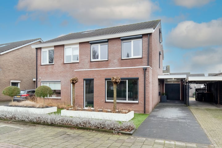 Roerdomp 14 in Rijssen foto