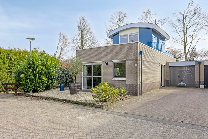 Roerdomp 40 in Meppel foto