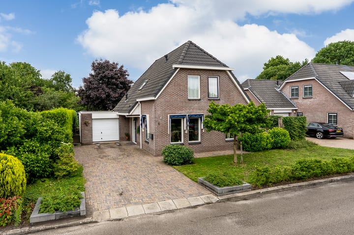 Roerdomp 5 in Oude Pekela foto