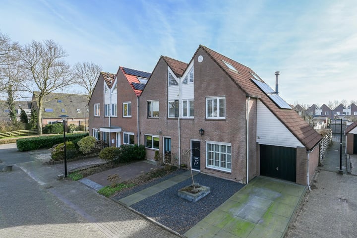 Roerdomp 75 in Mijdrecht foto