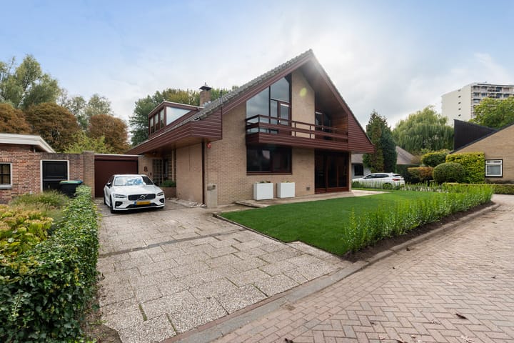 Roerdomp 8 in Ridderkerk foto