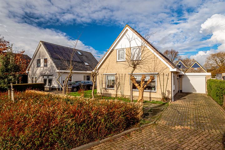 Roerdomp 9 in Obdam foto