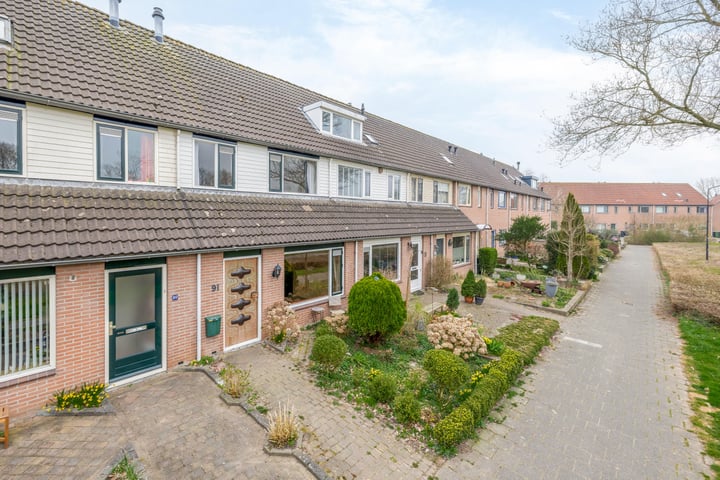 Roerdomp 91 in Mijdrecht foto