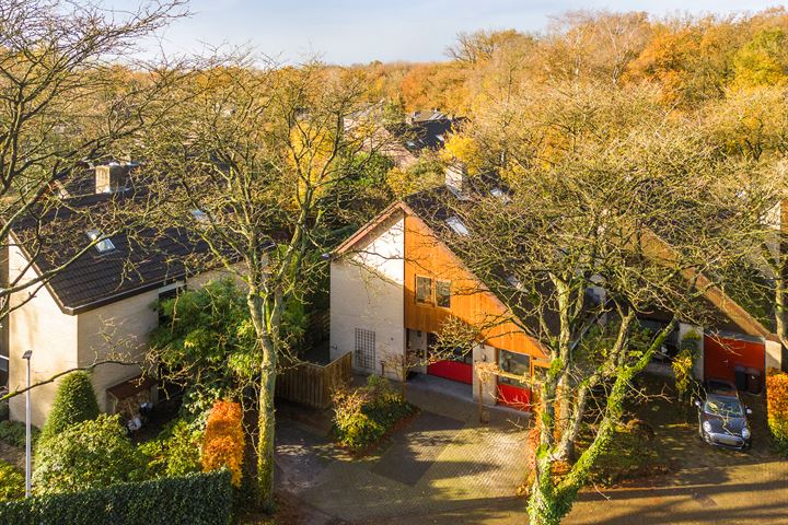Rogge-akker 1 in Doorn foto