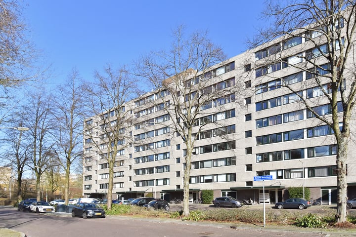 Roland Holstlaan 1179 in Delft foto