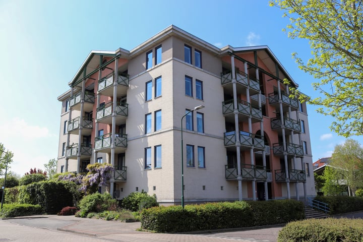 Romulus 136 in Wijk bij Duurstede foto