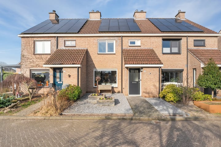 Roodborst 31 in Ommen foto