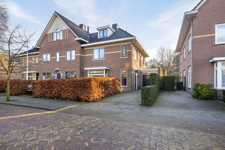 Roopoort 2 in Zwolle foto