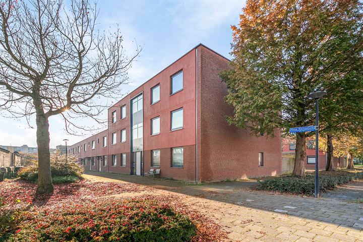 Rosa Manustuin 1 in Heerhugowaard foto