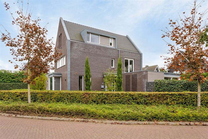 Rosep 1 in Veldhoven foto