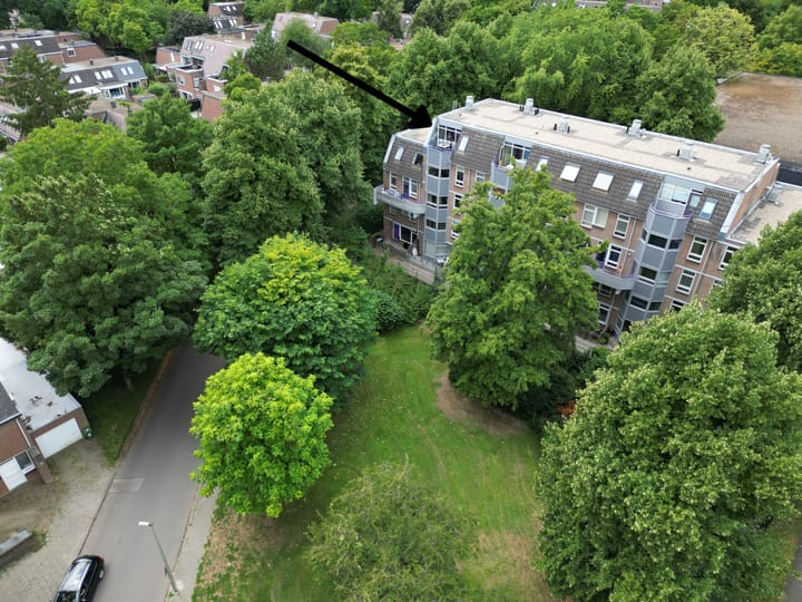 Roserije 245D in Maastricht foto