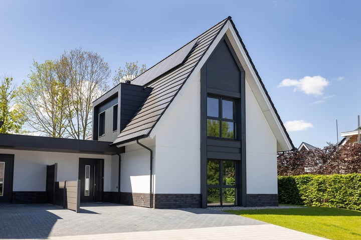 Rosmolen 8 in de Lutte foto