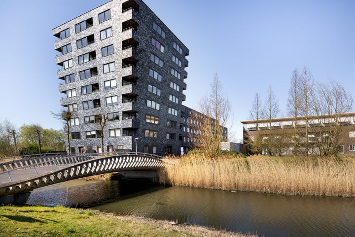 Rottumeroog 102 in Hoofddorp foto