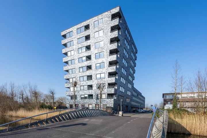 Rottumeroog 48 in Hoofddorp foto
