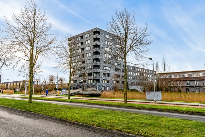 Rottumeroog 70 in Hoofddorp foto