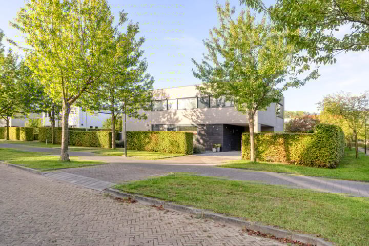 Rozemarijnstraat 9 in Heinkenszand foto