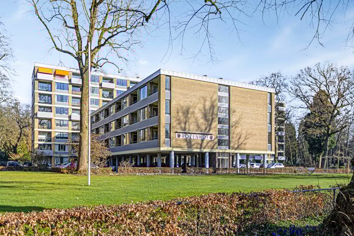 Rozenhof 53 in Epe foto