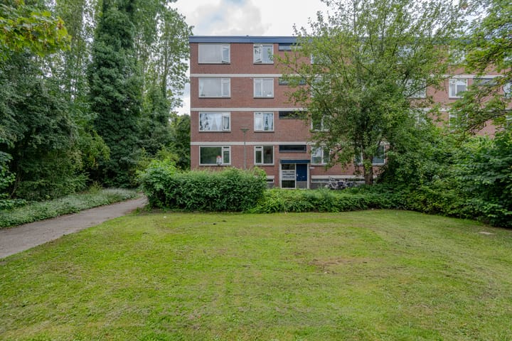 Ruigoord 214 in Rotterdam foto