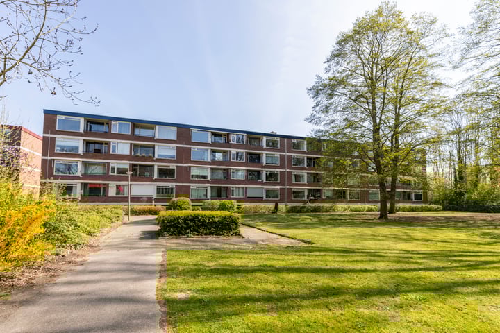 Ruigoord 258 in Rotterdam foto