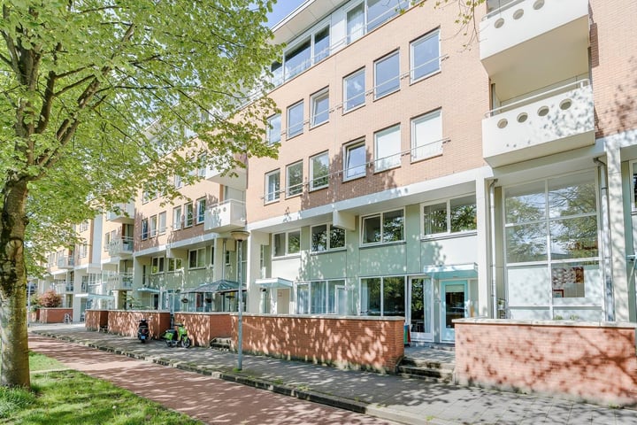S.O.J. Palmelaan 231 in Groningen