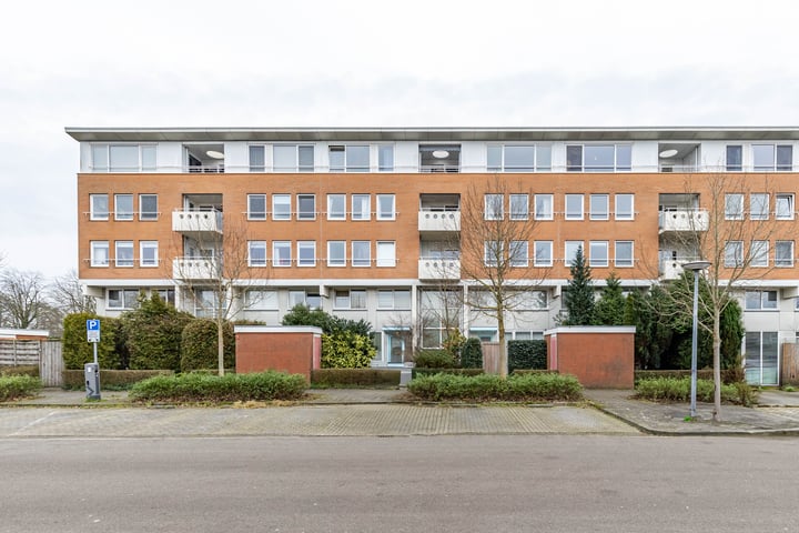 S.O.J. Palmelaan 279 in Groningen foto