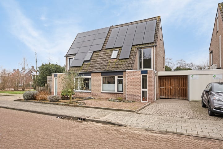 Sabelmarter 10 in Veldhoven foto
