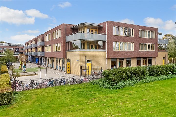 Salamander 37 in Odijk foto