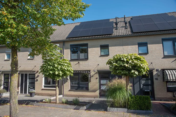 Salamanderstraat 18 in Hengelo foto