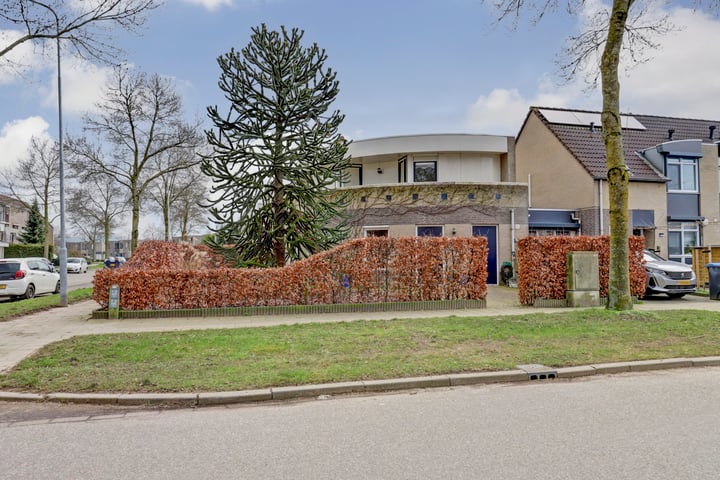 Saltshof 3068 in Wijchen foto