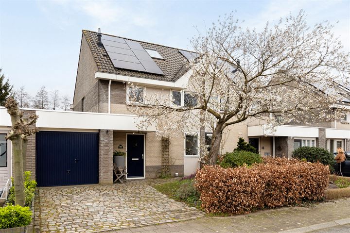 Saltshof 3621 in Wijchen foto