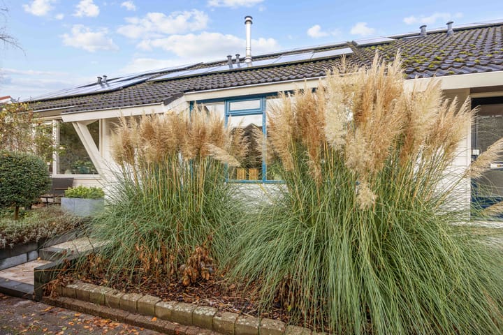 Salvialaan 4 in Winsum