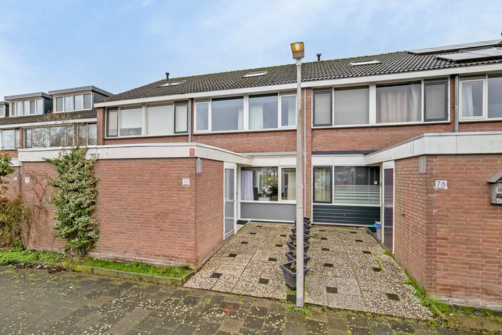 Savanne 77 in Capelle aan den IJssel foto