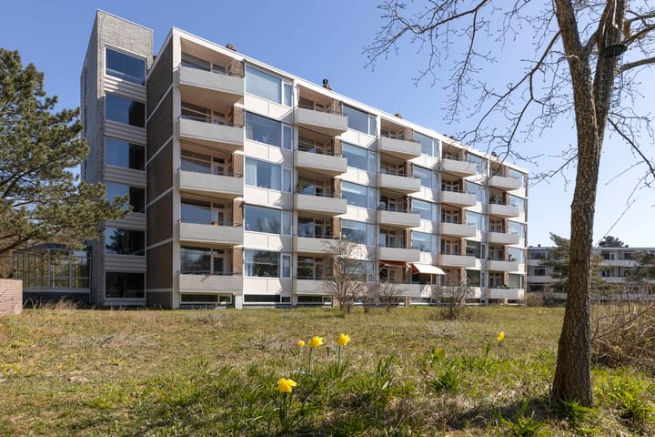 Saxenrodeweg 62 in Bentveld foto