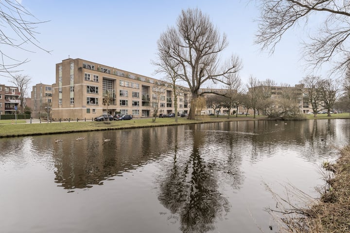 Schapendreef 453 in Rotterdam foto