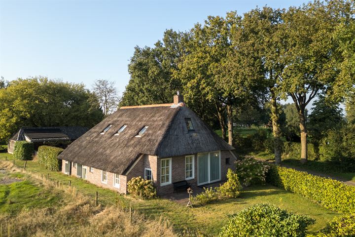 Schapendrift 2 in Elp foto