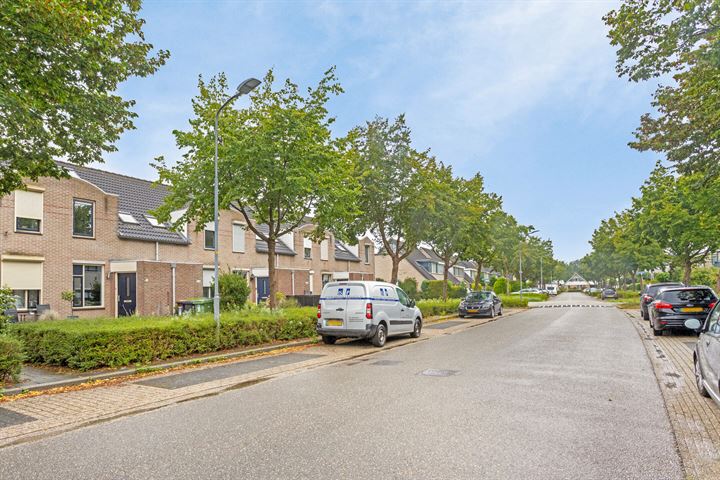 Schapenweide 206 in Duiven foto